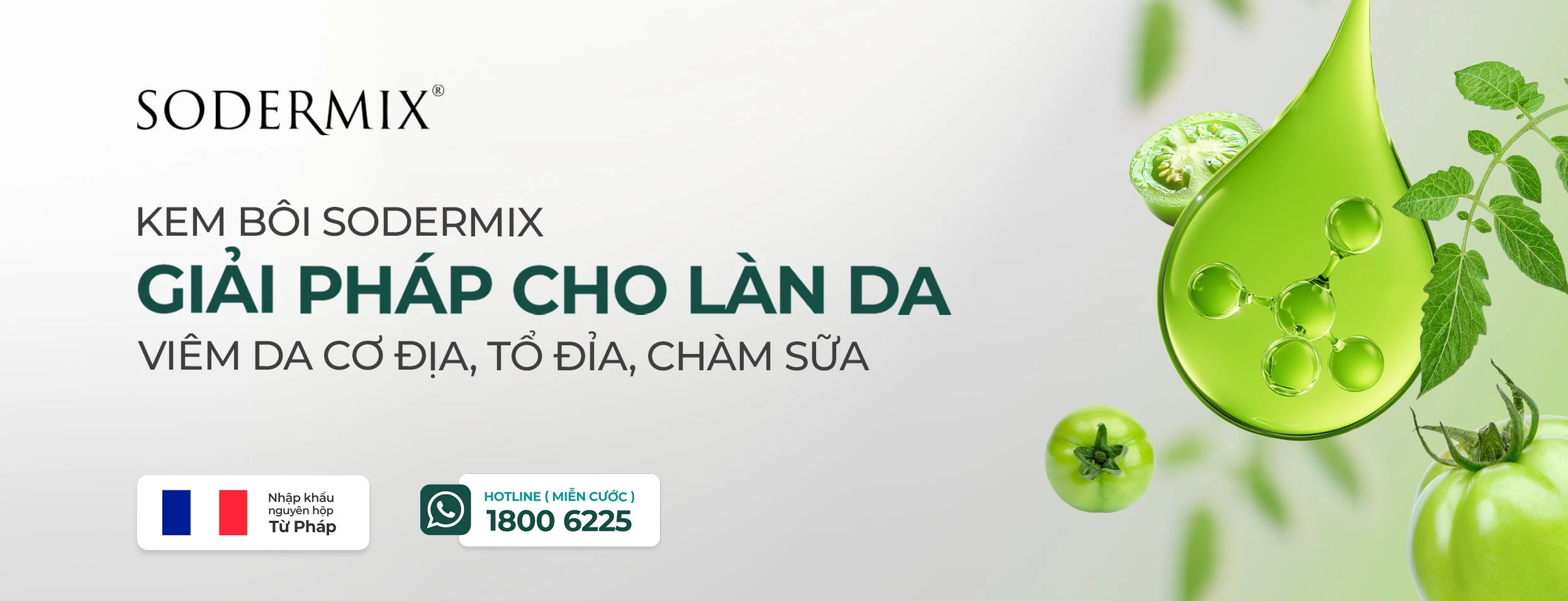 banner desktop giai phap vdcd small.webp